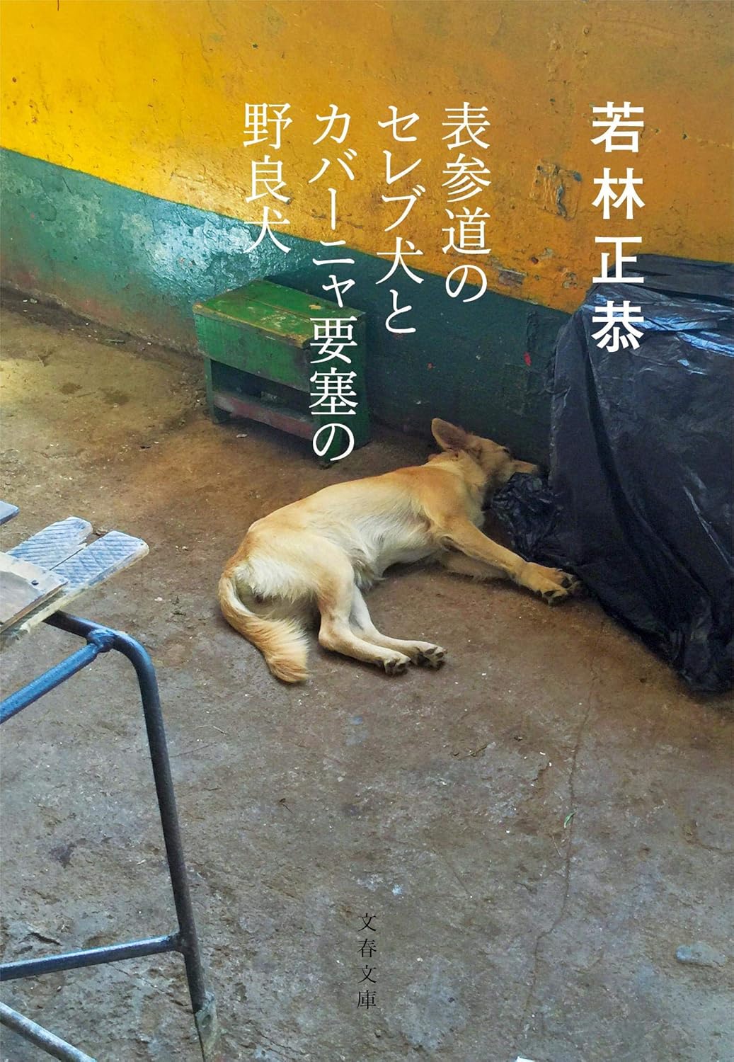 人生を変える一冊「表参道のセレブ犬とカバーニャ要塞の野良犬」